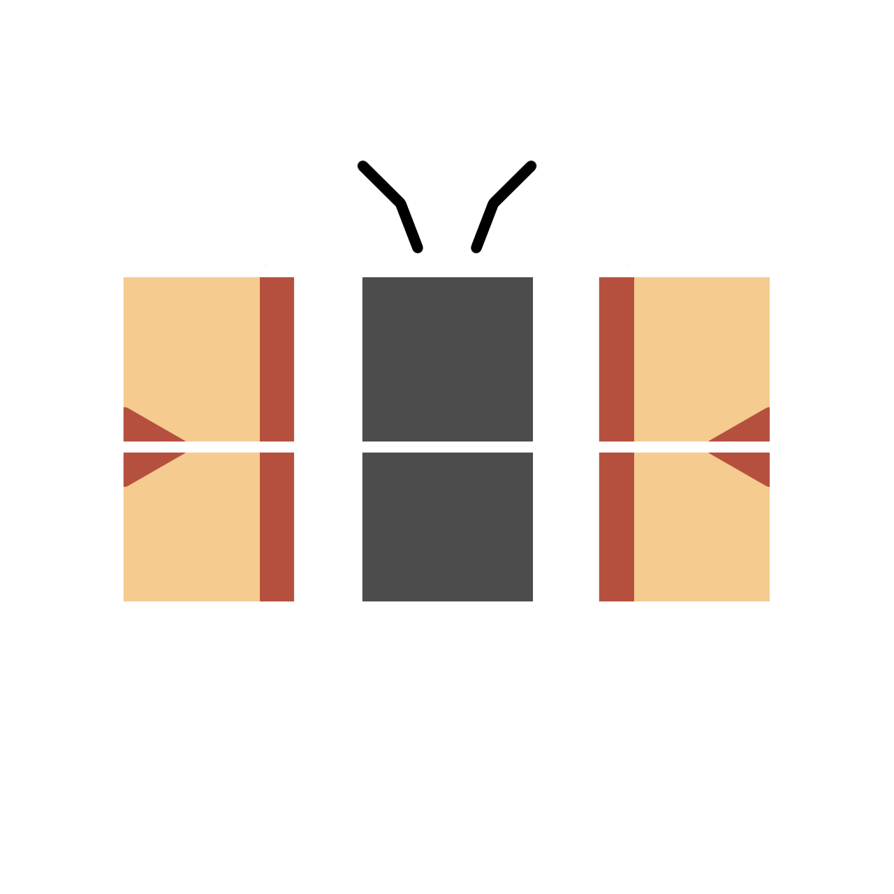 braami Logo
